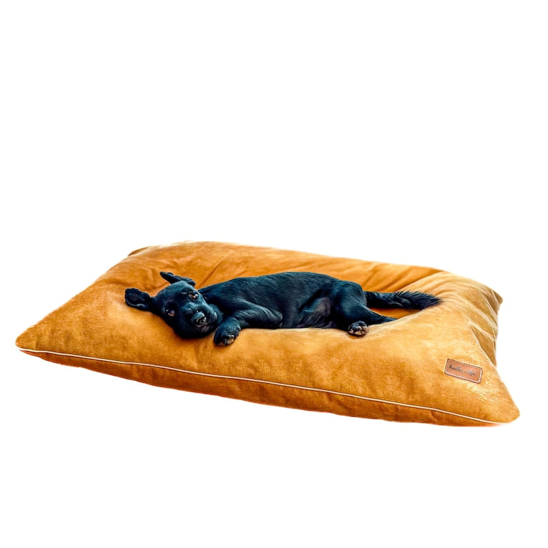 Yellow Velvet Dog Pillow Bed, Durable Pet Cushion