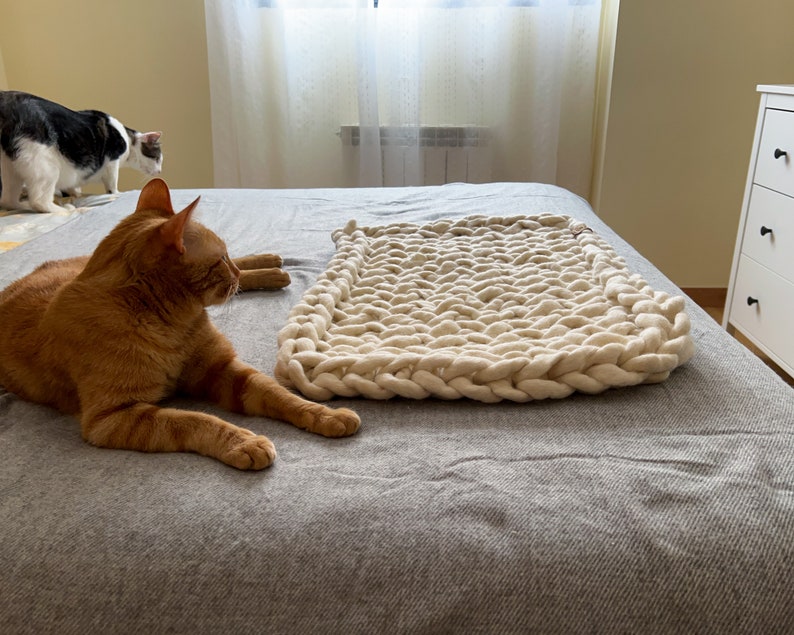 Chunky knits cat bed, merino wool pet bed, Warm and natural merino wool chunky knit cat bed, flat cat bed, Indoor cat house