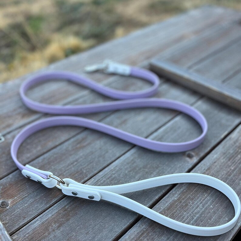 The Theo - Custom Waterproof Biothane Dog Leash for Pet Parents and Dog Lovers