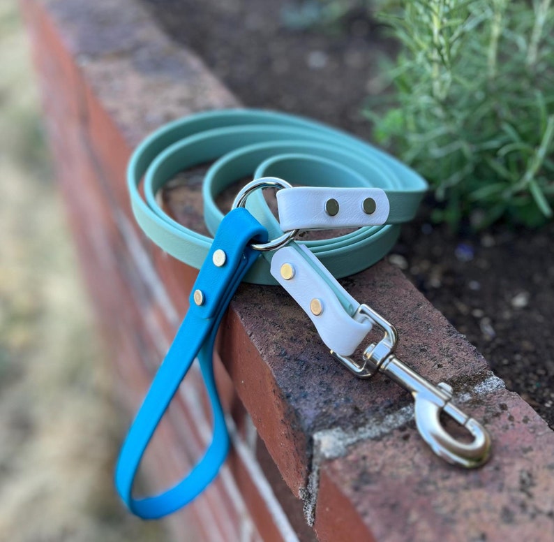 The Theo - Custom Waterproof Biothane Dog Leash for Pet Parents and Dog Lovers