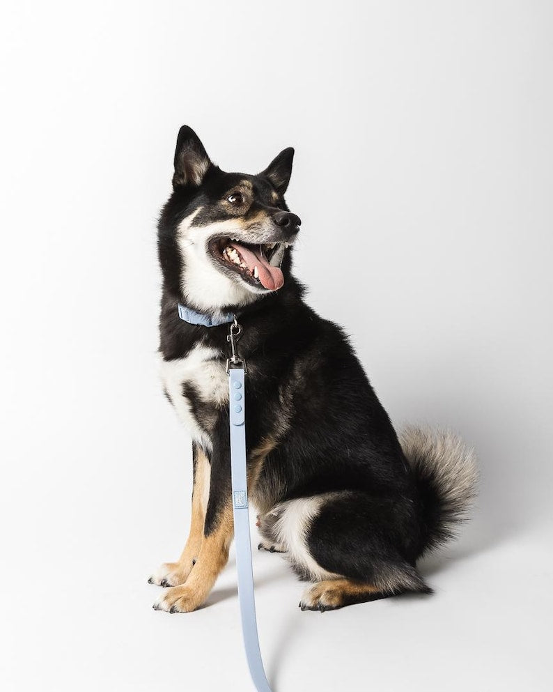 Waterproof Dog Leash, Weatherproof Dog Leash, Dog Collar, Pet Leash,Luxury Pet Leash, Odor Resistant Dog Leash,Dog Leash,Durable Dog Leash