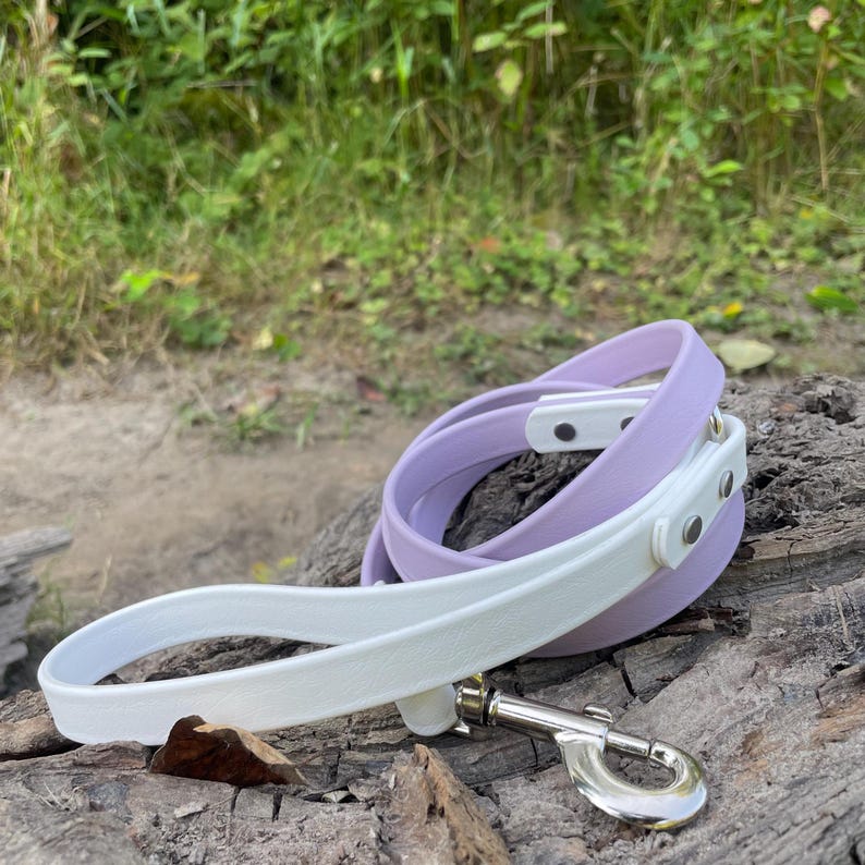 The Theo - Custom Waterproof Biothane Dog Leash for Pet Parents and Dog Lovers