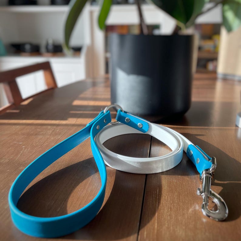 The Theo - Custom Waterproof Biothane Dog Leash for Pet Parents and Dog Lovers