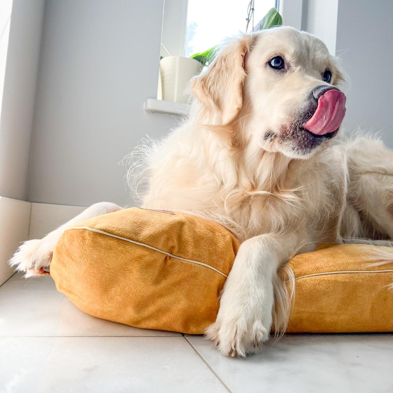 Yellow Velvet Dog Pillow Bed, Durable Pet Cushion