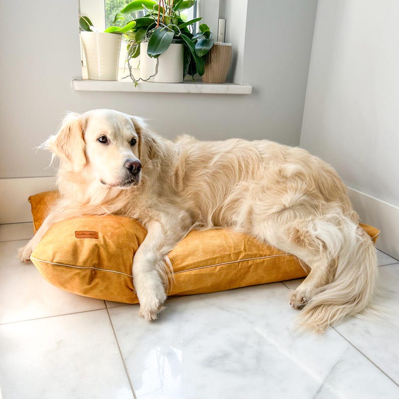 Yellow Velvet Dog Pillow Bed, Durable Pet Cushion