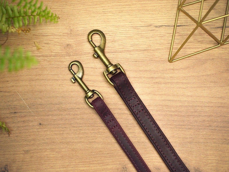 Leather Leashes for Small Medium Large Dogs, Trendy Colors Dog Leash, Strong Dog Lead, Durable Leash for Animal, Personalized Pet Leash