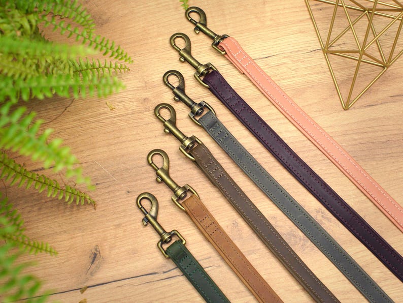 Leather Leashes for Small Medium Large Dogs, Trendy Colors Dog Leash, Strong Dog Lead, Durable Leash for Animal, Personalized Pet Leash