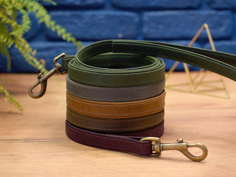 Leather Leashes for Small Medium Large Dogs, Trendy Colors Dog Leash, Strong Dog Lead, Durable Leash for Animal, Personalized Pet Leash