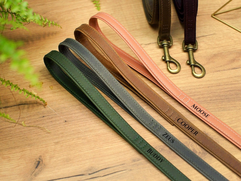 Leather Leashes for Small Medium Large Dogs, Trendy Colors Dog Leash, Strong Dog Lead, Durable Leash for Animal, Personalized Pet Leash