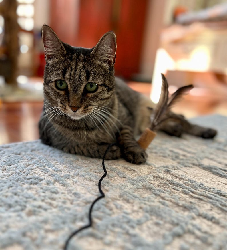 Cat Teaser, Eco-Friendly Cat Toy, Feathered Cat toy, Cat Wand Toys, Cat Enrichment, Sustainable cat toy, Handmade Cat Toy, Bamboo Wand