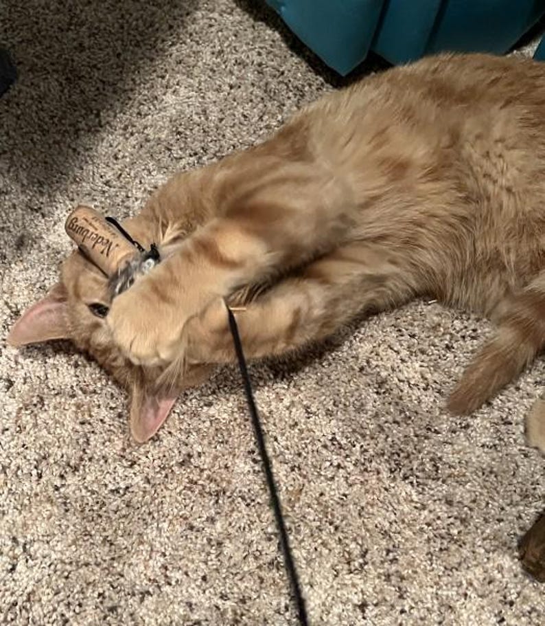 Cat Teaser, Eco-Friendly Cat Toy, Feathered Cat toy, Cat Wand Toys, Cat Enrichment, Sustainable cat toy, Handmade Cat Toy, Bamboo Wand