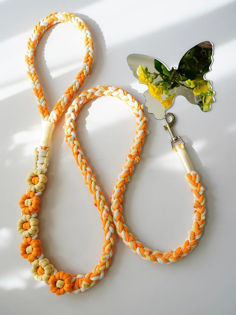 Handmade Dog Leash, Braided Leash