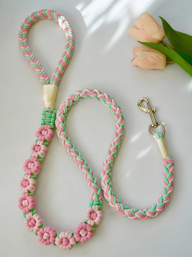 Handmade Dog Leash, Braided Leash