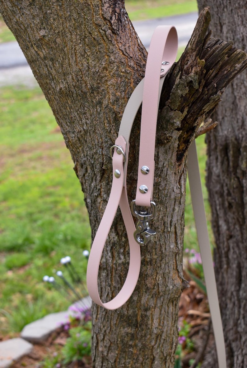 Classic Leash: “the Explorer” with Optional Traffic Handle