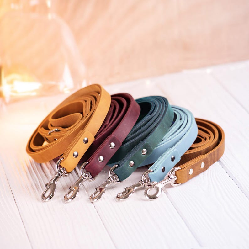 Dog Leash, Leather Dog Leash, Dog Accessories for Boy or Girl, Personalized dog leash, Dog name plate, Strong Leather Dog Leash, dog lead
