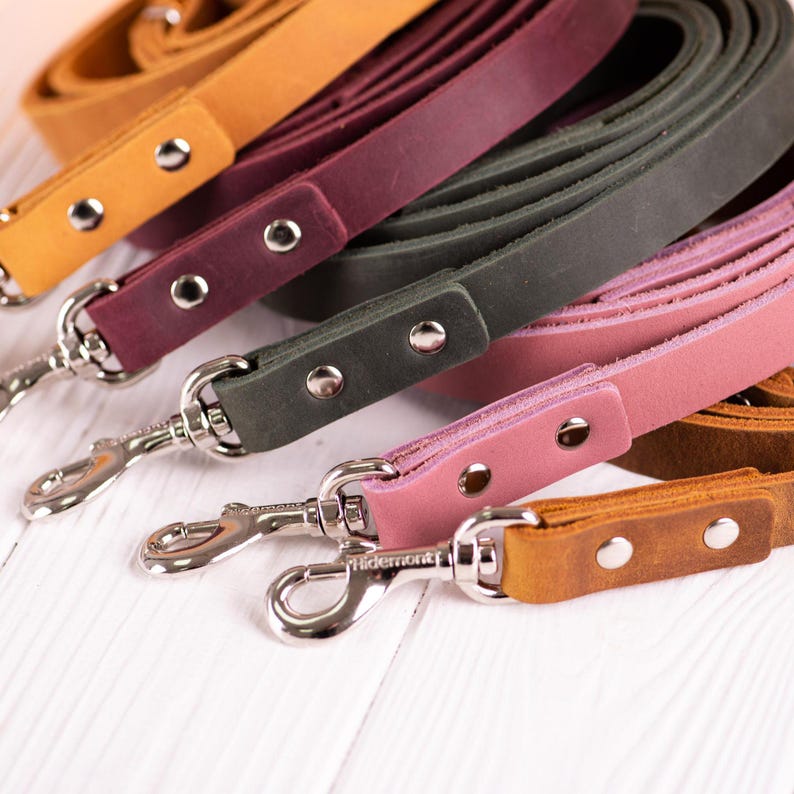 Dog Leash, Leather Dog Leash, Dog Accessories for Boy or Girl, Personalized dog leash, Dog name plate, Strong Leather Dog Leash, dog lead