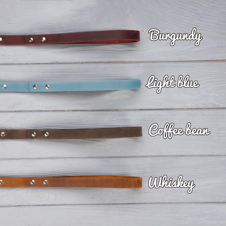 Dog Leash, Leather Dog Leash, Dog Accessories for Boy or Girl, Personalized dog leash, Dog name plate, Strong Leather Dog Leash, dog lead