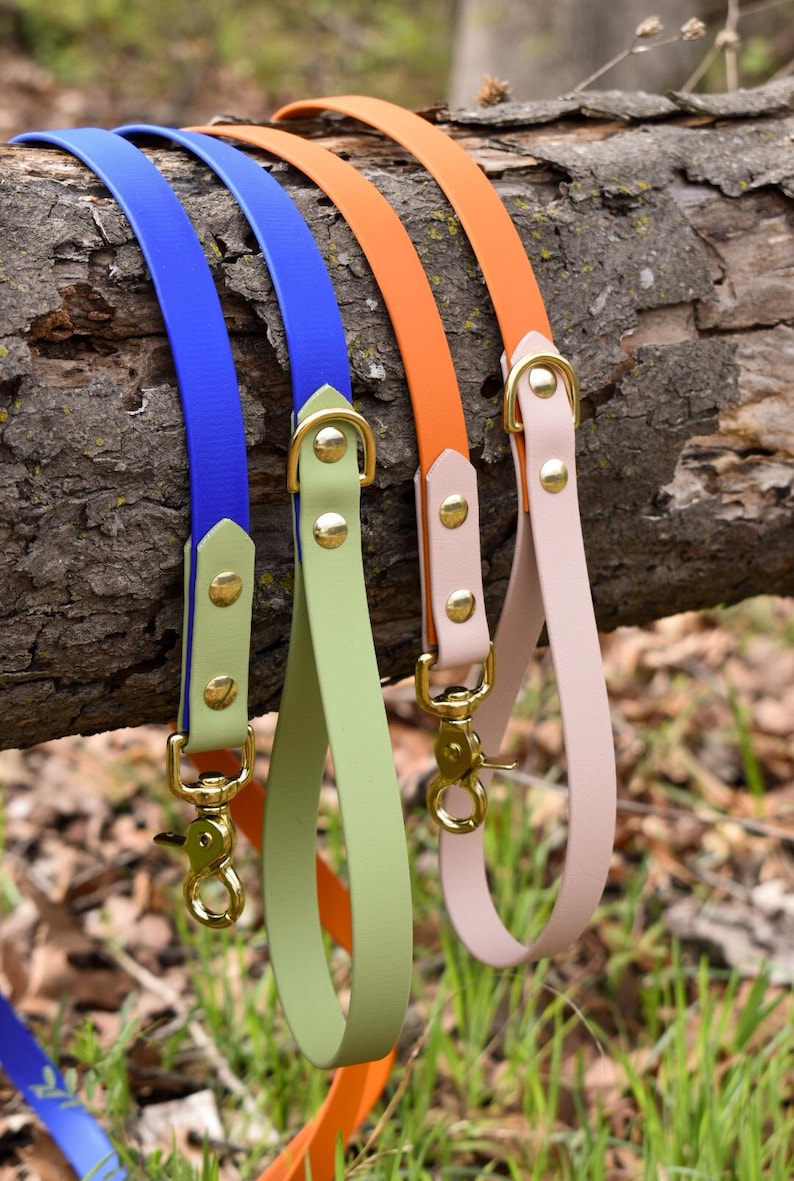 Classic Leash: “the Explorer” with Optional Traffic Handle