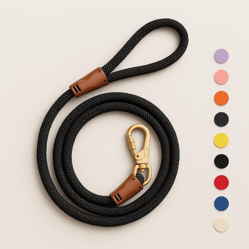 Braided Rope Dog Leash: Strong, Eco-Friendly, Gold/Silver Clip