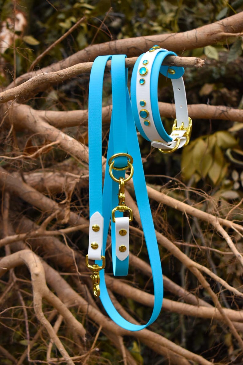 The Outback: Simple Handsfree Leash, Waterproof Biothane Dog Leash