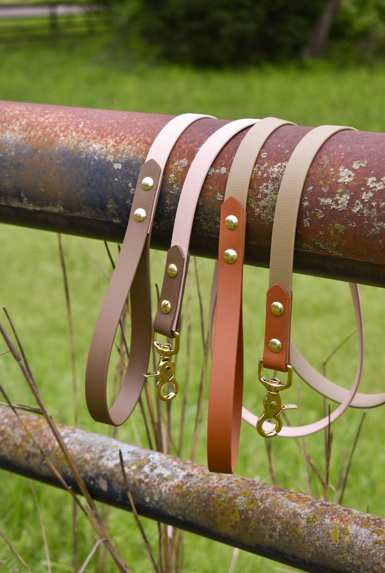 Classic Leash: “the Explorer” with Optional Traffic Handle