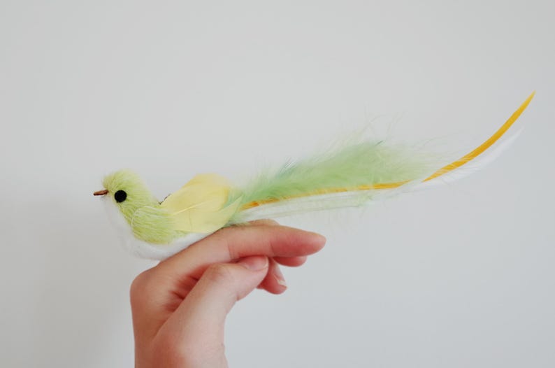 Interactive Hands Free Cat Wand | Suction Cup Feather Bird Teaser with Bell | Self Play Cat Toy for Windows and Tiles | Handmade UK