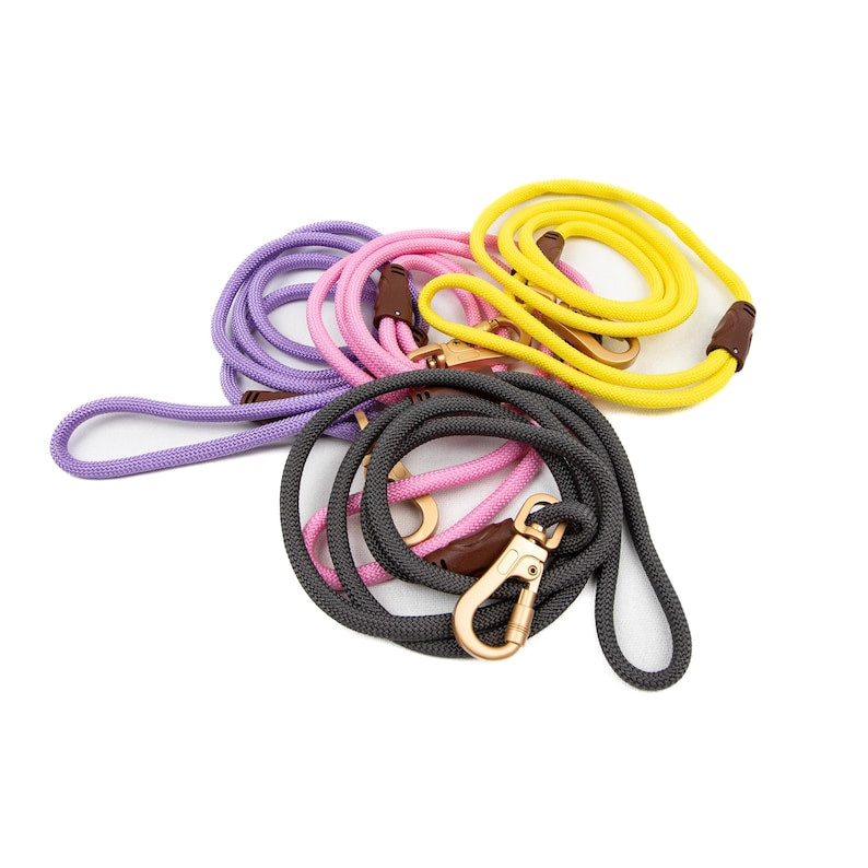 Braided Rope Dog Leash: Strong, Eco-Friendly, Gold/Silver Clip