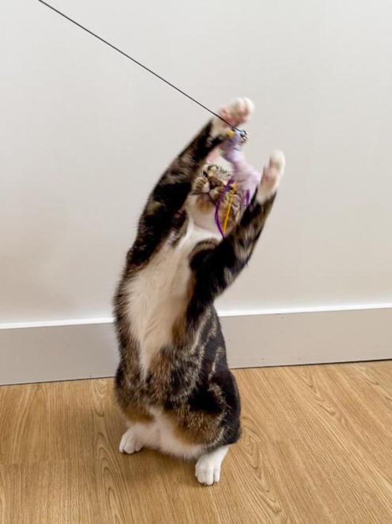 Interactive Hands Free Cat Wand | Suction Cup Feather Bird Teaser with Bell | Self Play Cat Toy for Windows and Tiles | Handmade UK