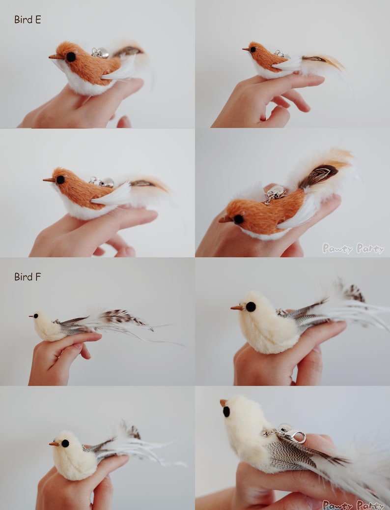 Interactive Hands Free Cat Wand | Suction Cup Feather Bird Teaser with Bell | Self Play Cat Toy for Windows and Tiles | Handmade UK