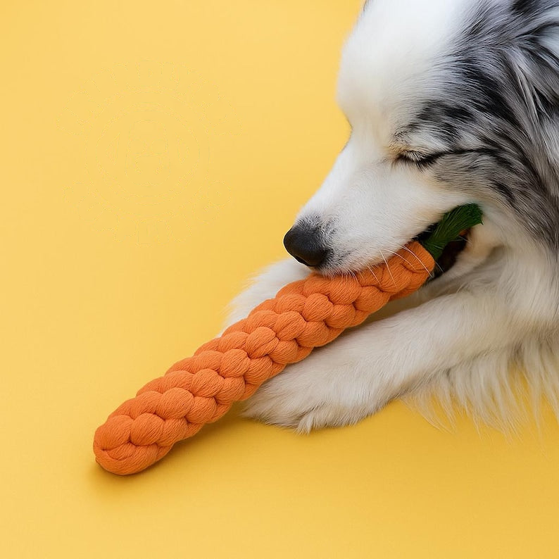 Carrot Dog Chew Toy – Durable Braided Rope Toy for Small & Medium Dogs – Interactive Play Toy for Puppies
