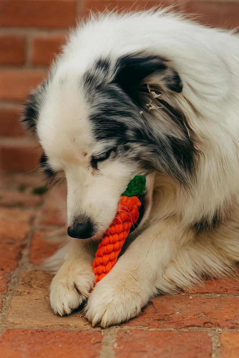 Carrot Dog Chew Toy – Durable Braided Rope Toy for Small & Medium Dogs – Interactive Play Toy for Puppies