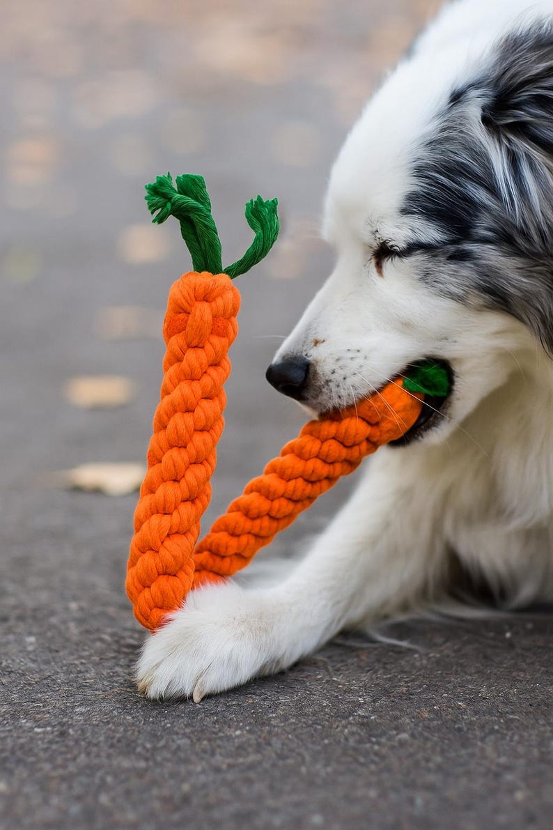 Carrot Dog Chew Toy – Durable Braided Rope Toy for Small & Medium Dogs – Interactive Play Toy for Puppies