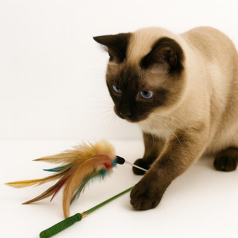 Feather Cat Wand Toy – Interactive Teaser Stick for Cats, Sensory Enrichment Cat Toy, Durable Play Wand, Unique & Custom Gift for Cat