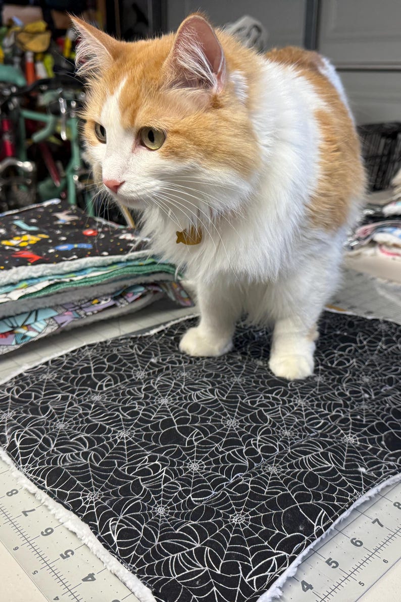 Handmade self-warming reversible sherpa pet bed or mat (10x13 Small)