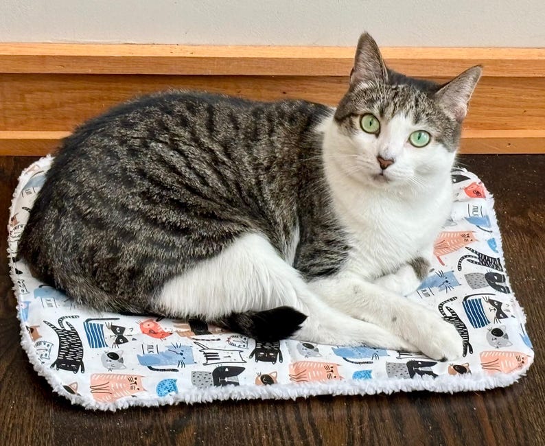 Handmade self-warming reversible sherpa pet bed or mat (10x13 Small)