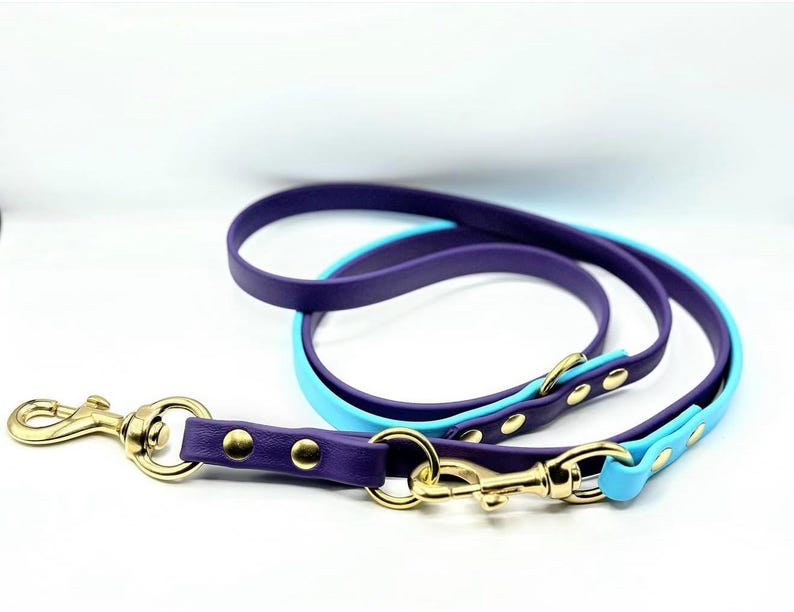 Biothane Guide Dog Leash Double Hook 5/8 Width