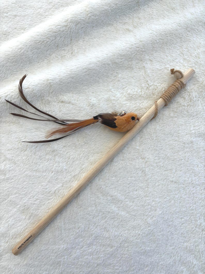 Feathered Bird Teaser Interactive Cat Wand Toy