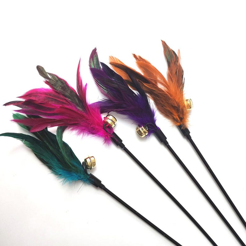Vibrant Feather with Big Bell Kitten & Cat Teaser Wand – Long Lightweight Handle for Indoor Cat Interactive Play