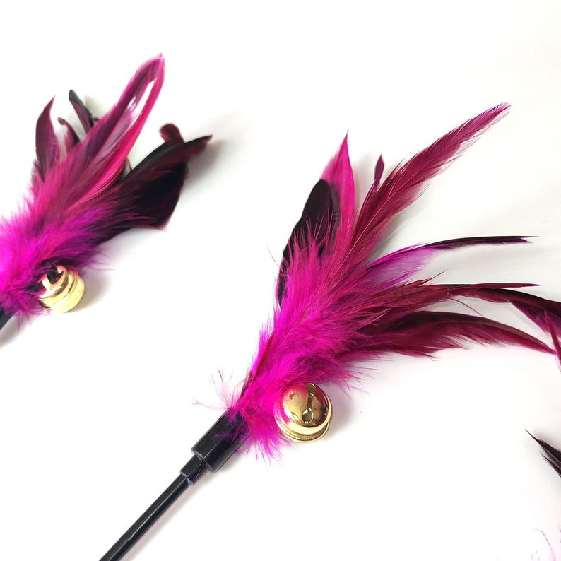 Vibrant Feather with Big Bell Kitten & Cat Teaser Wand – Long Lightweight Handle for Indoor Cat Interactive Play