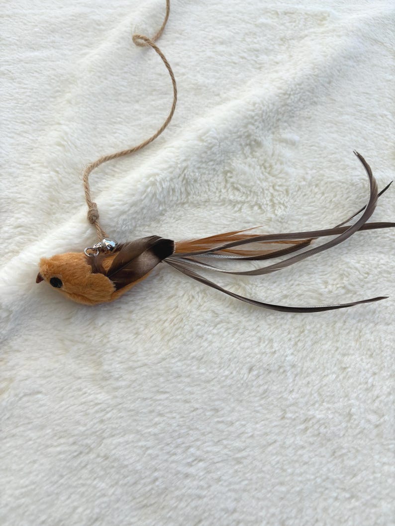 Feathered Bird Teaser Interactive Cat Wand Toy