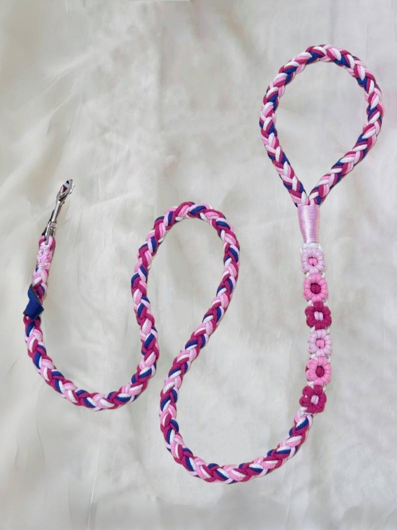Handmade Dog Leash, Braided Leash