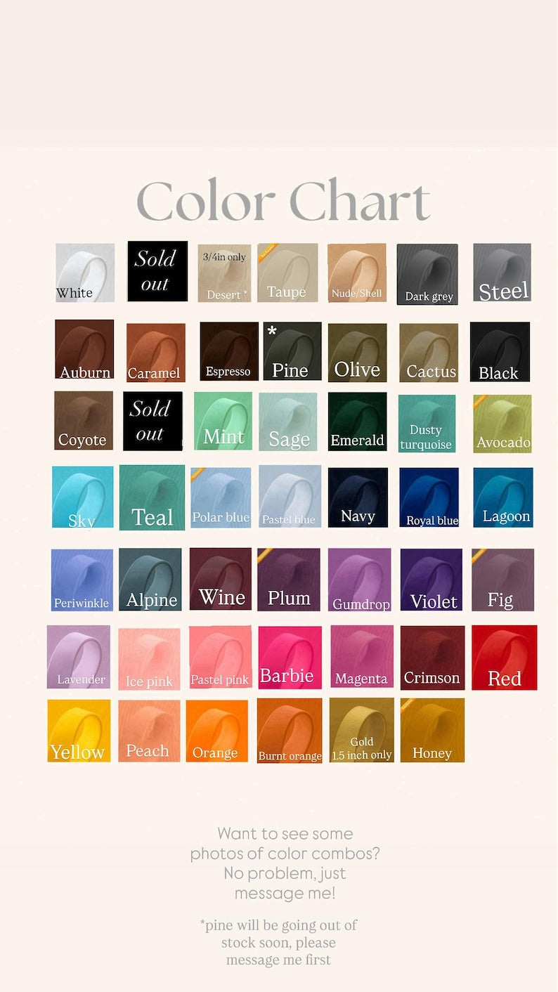 Classic Leash: “the Explorer” with Optional Traffic Handle