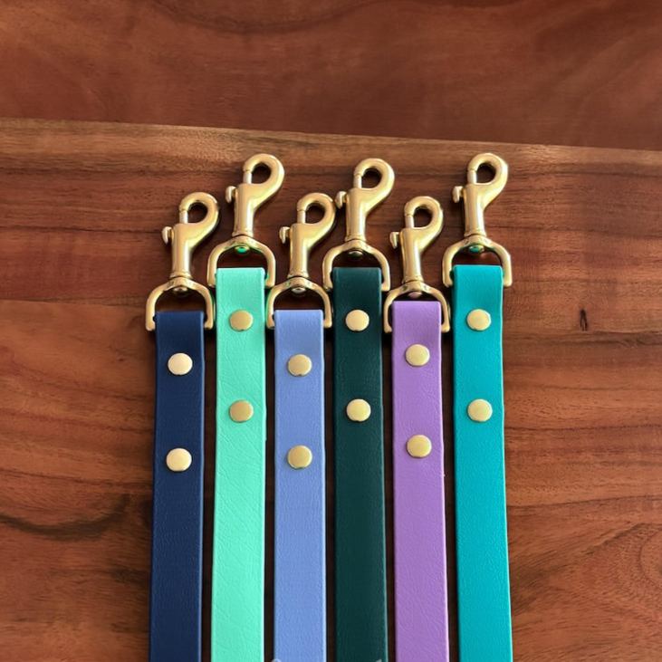 Waterproof Biothane Dog Leash | Midnight, Breeze, Iris, Evergreen, Berry, Alpine