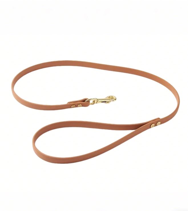 Waterproof Biothane Dog Leash 3 Foot Length