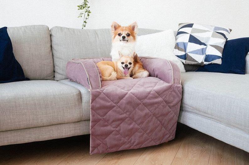 Furniture Velor Dog Sofa Bed | Small Breed Pet Couch