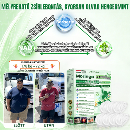 ✨✨🇭🇺 Hivatalos bolt | 💫 TAYUOO® Moringa · Berberin × NAD+ 10 az 1-ben Fejlett Nano Mikrotűs Tapasz (naponta csak egyszer, látható változás 7 nap alatt) ✅ elhízás, megereszkedett bőr, cukorbetegség, alvási apnoe, ízületi panaszok és még sok más esetén