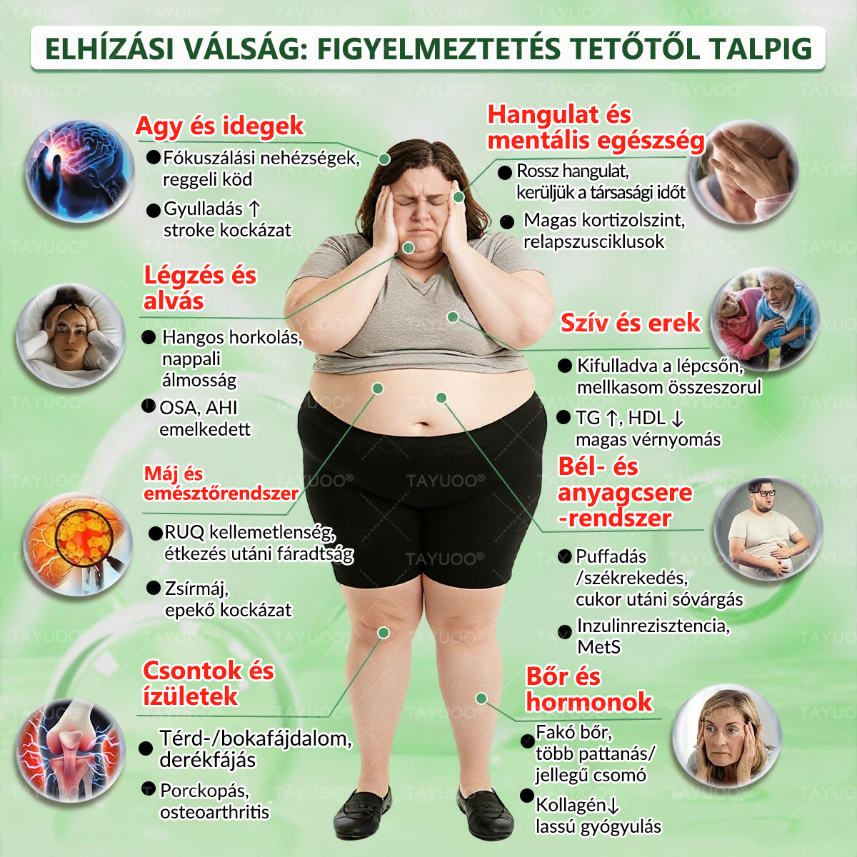 ✨✨🇭🇺 Hivatalos bolt | 💫 TAYUOO® Moringa · Berberin × NAD+ 10 az 1-ben Fejlett Nano Mikrotűs Tapasz (naponta csak egyszer, látható változás 7 nap alatt) ✅ elhízás, megereszkedett bőr, cukorbetegség, alvási apnoe, ízületi panaszok és még sok más esetén