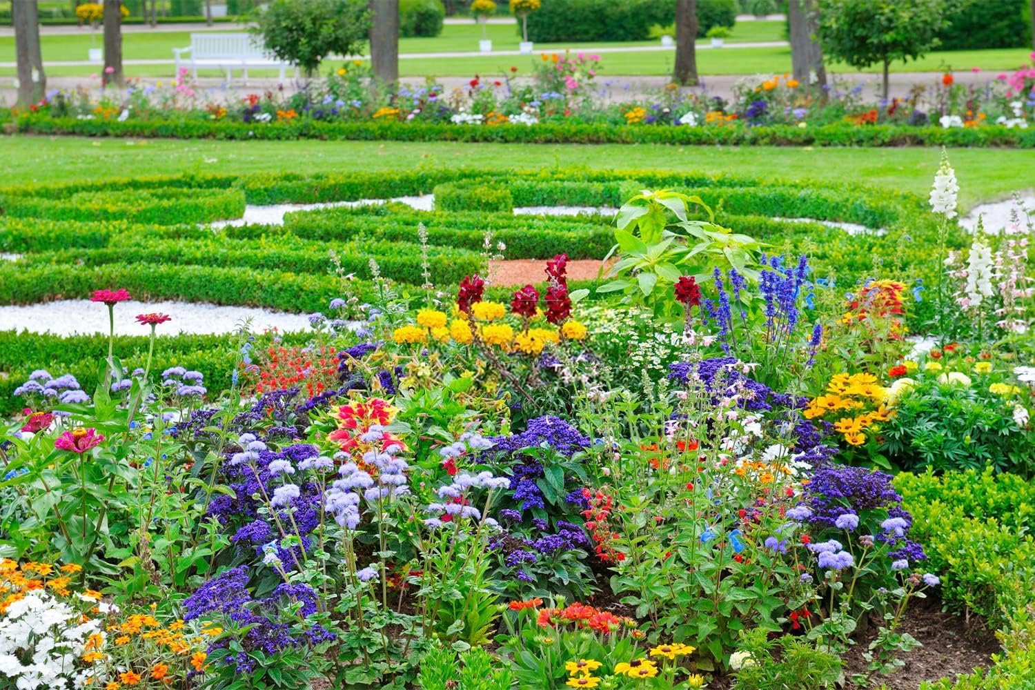 Mixed Perennial Flowers for All Seasons – 50+ Kinds