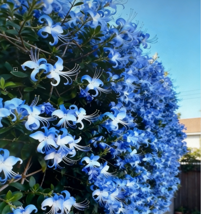 🌌 Bring the Sky to Your Garden – Blue Butterfly Flower Seeds 🌌