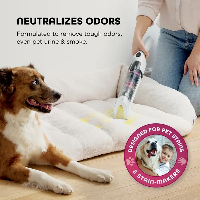 Cordless Portable Carpet & Upholstery Cleaner 🛋️✨